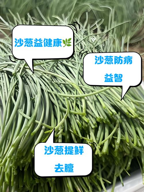 有痛风的人能吃小葱吗