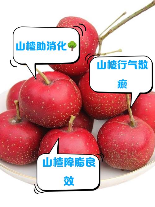 痛风山楂能吃吗能吃吗