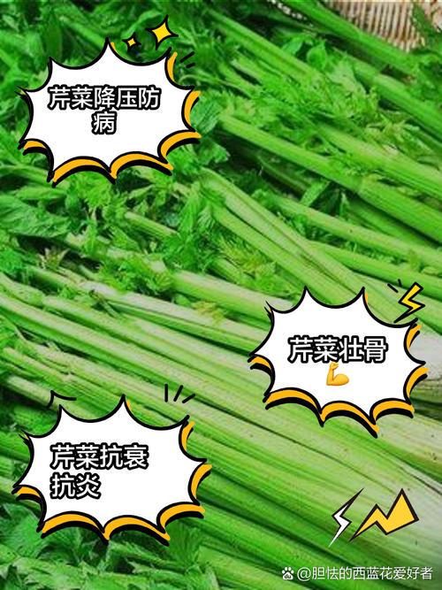 芹菜对痛风有什么好处