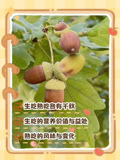 痛风的人可以吃榛子吗