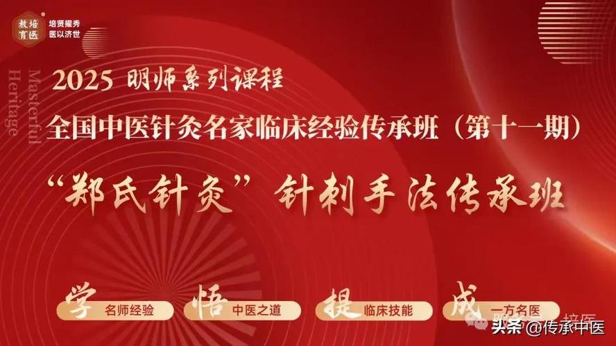 外国网友评论中国针灸