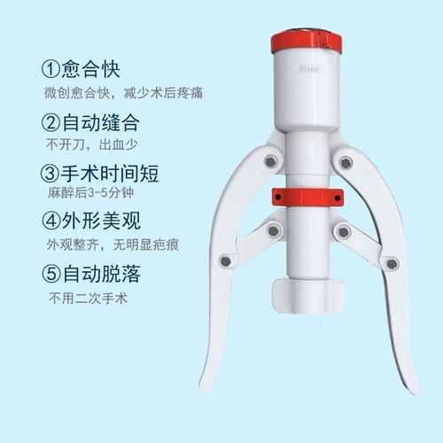 狼和牌环切手术安全吗
