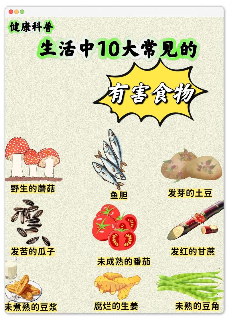 食品安全对人体的危害