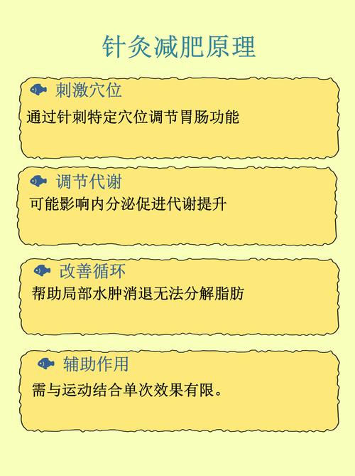 针灸减肥期间注意事项