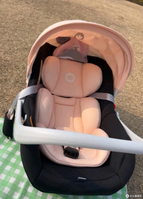 有没有必要买安全提篮