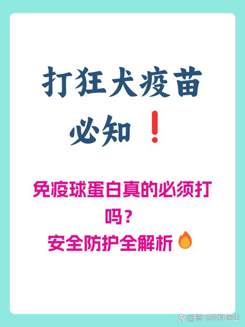 疫情期间的疫苗安全吗