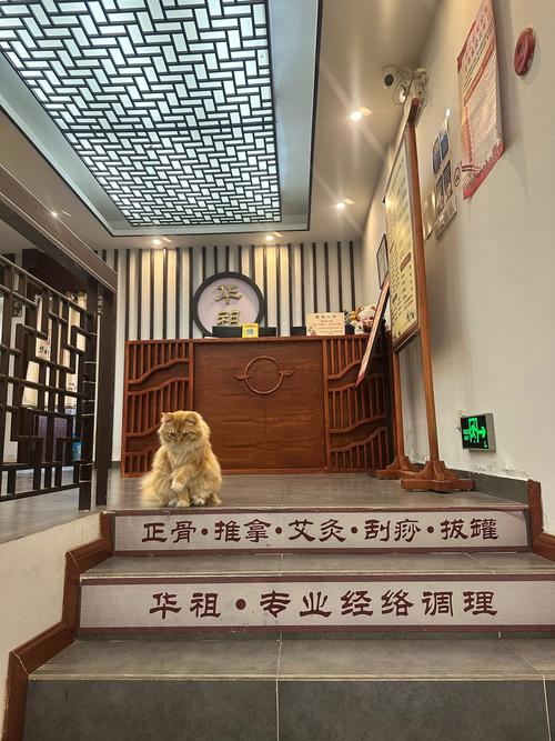 益康针灸推拿培训学校