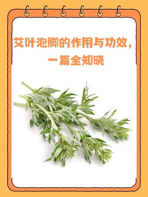 痛风可以用艾草泡脚吗