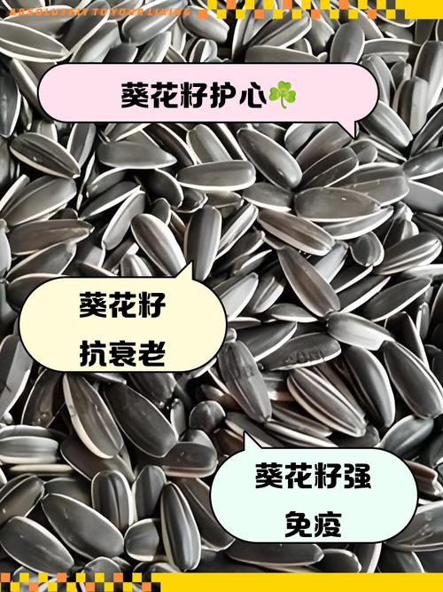 痛风病人能吃葵花籽吗