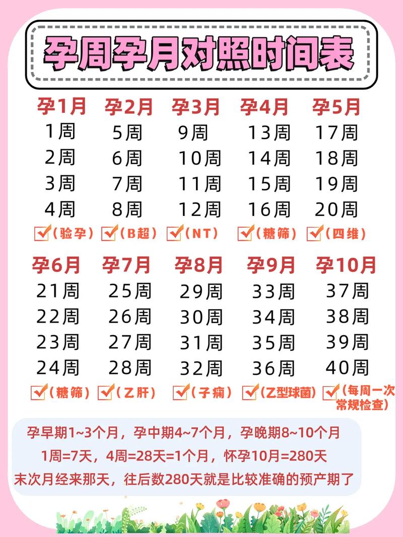 孕早期几周后比较安全