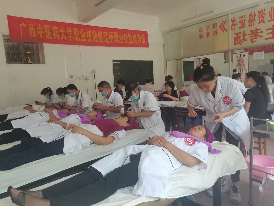 南方医科大学针灸培训