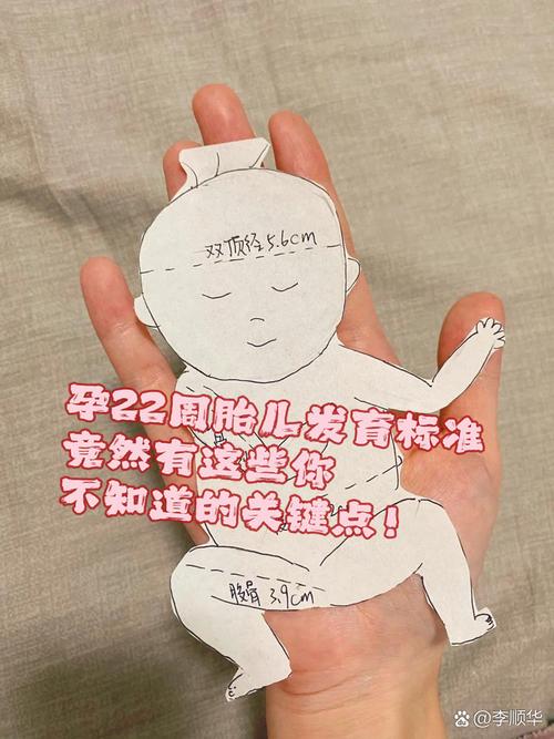 孕22周胎儿安全了吗