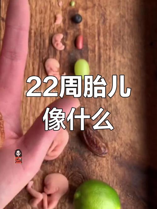 孕22周胎儿安全了吗