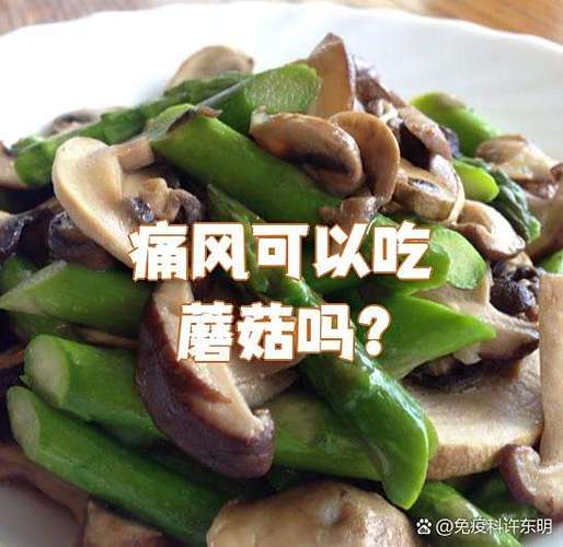 尿酸痛风可以吃粉条吗