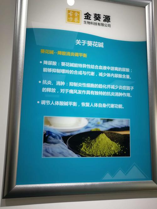 清风葵花碱能治痛风吗