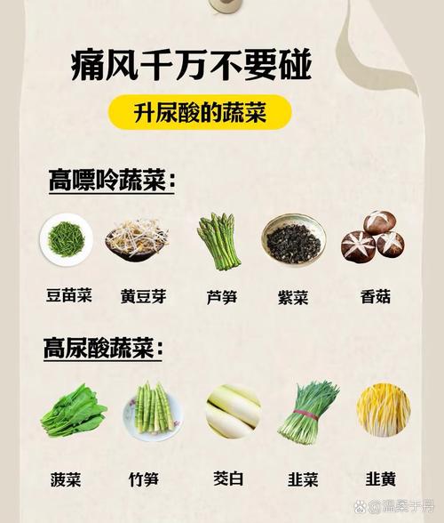 痛风病人忌吃什么食物