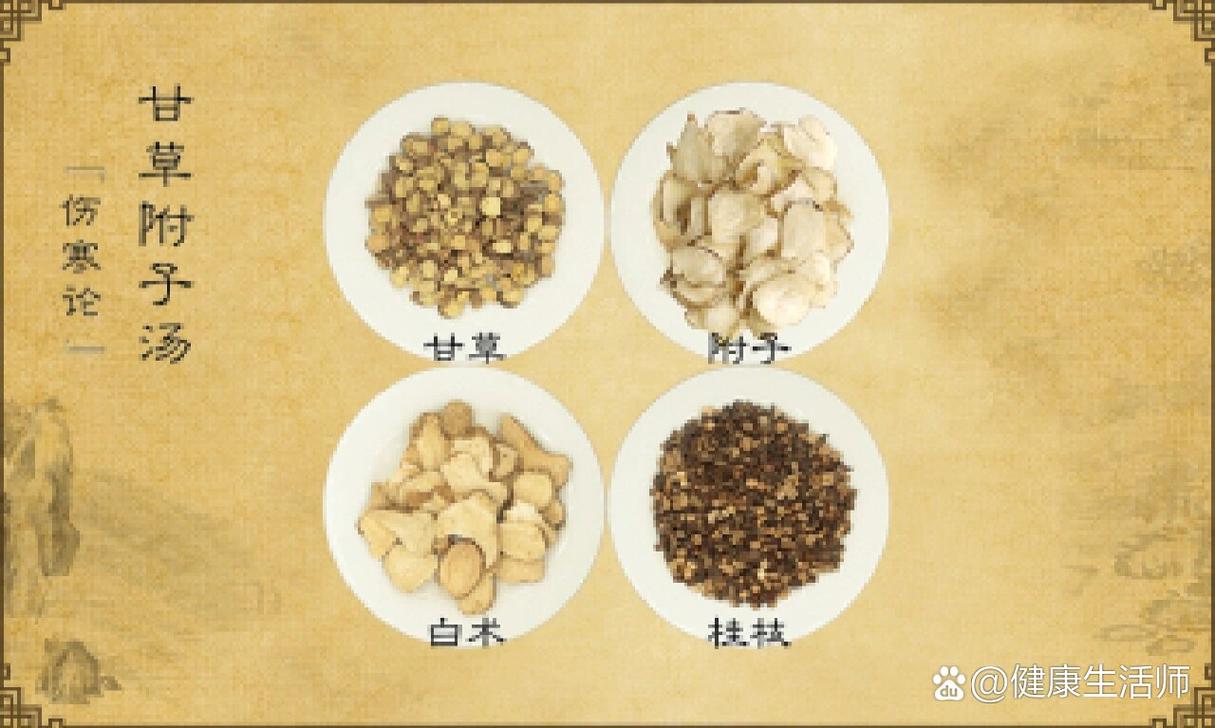 甘草附子汤胡希恕痛风