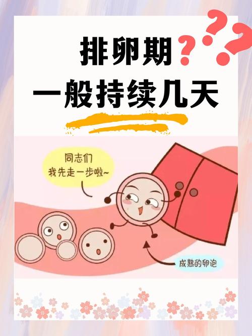 卵泡期第三天安全期吗