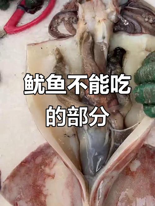 痛风到底能不能吃鱿鱼