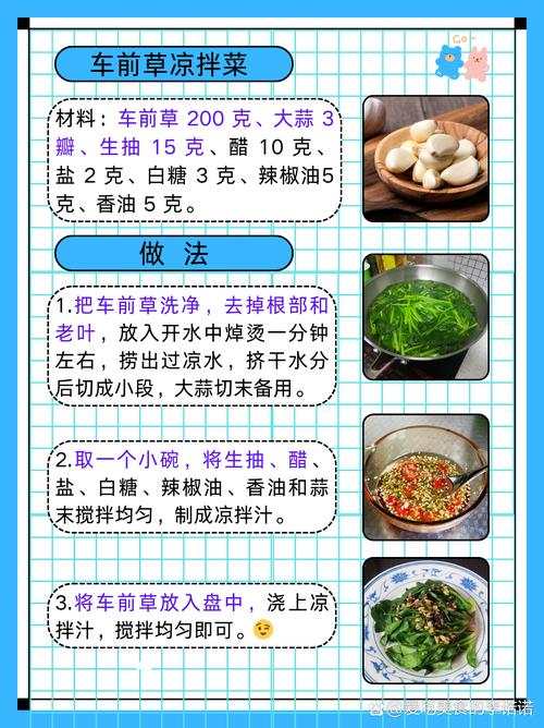 车前草治疗痛风怎么吃