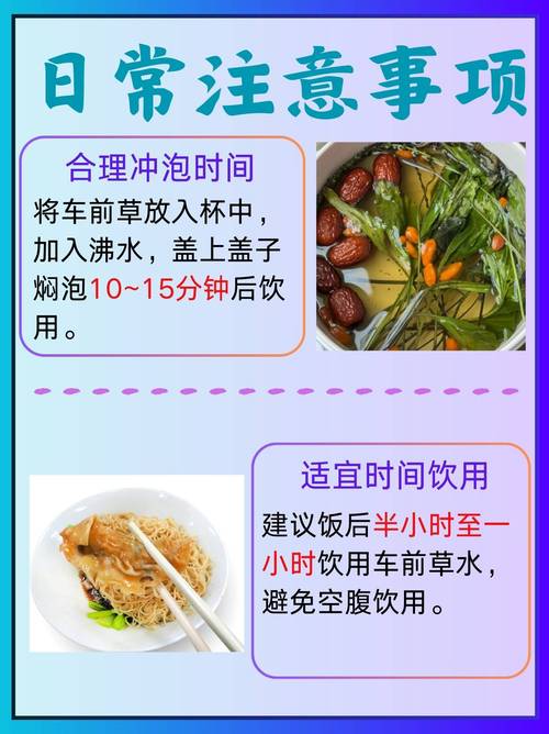 车前草治疗痛风怎么吃