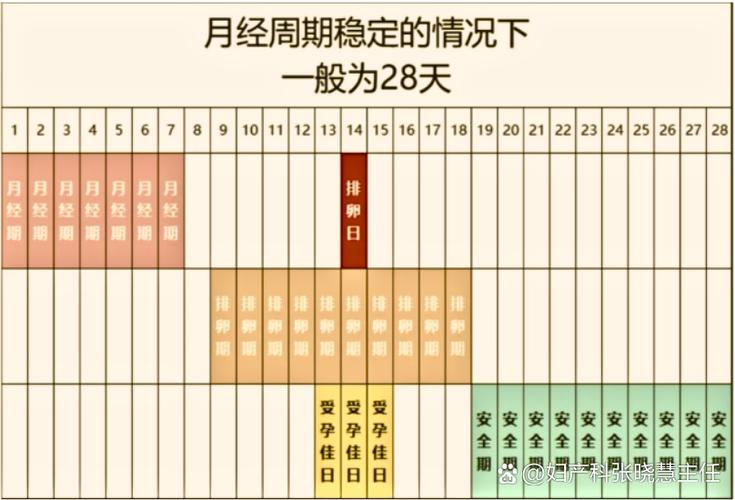 月经期排卵期安全期表
