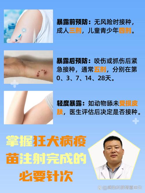 二倍体狂犬疫苗安全性