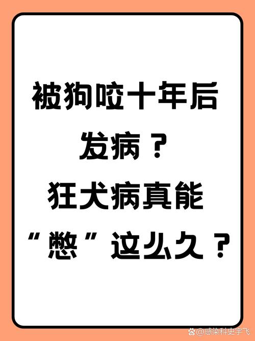 狂犬病一年后安全了吗