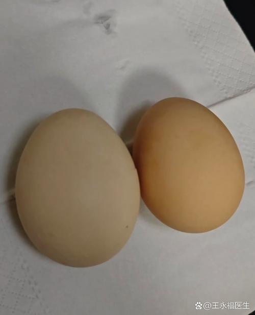 痛风发作时能吃鸡蛋吗