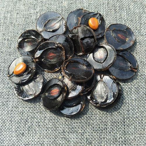 果导片一天吃几粒安全