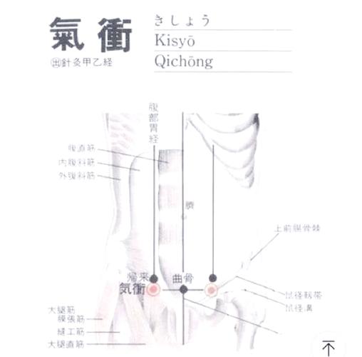 肚子疼针灸什么位置图