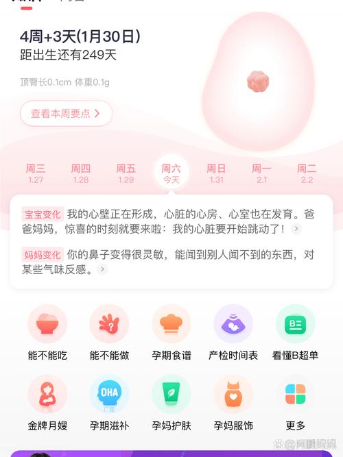 美柚计算的安全期准吗