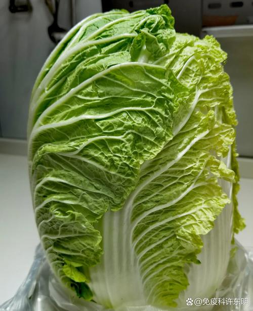 痛风病人可以吃板栗吗