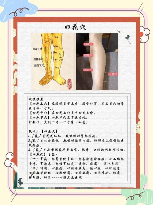 针灸注意事项和禁忌症