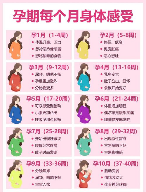 多少人是安全期怀孕的