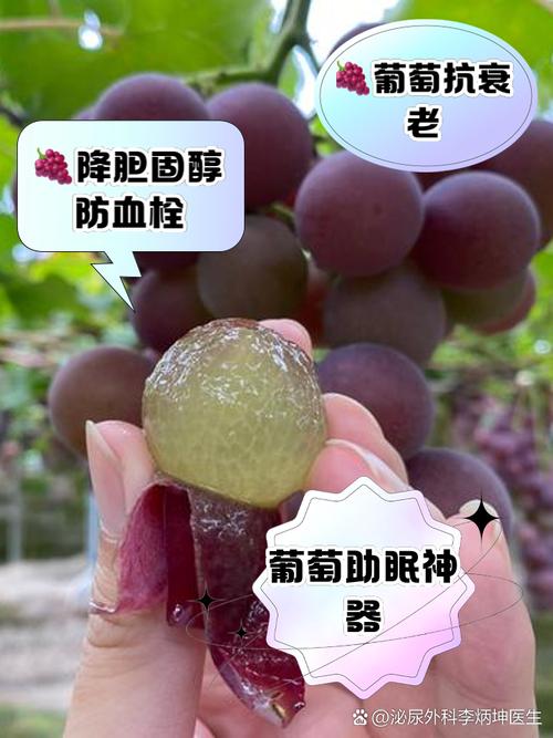 痛风吃葡萄有什么功效