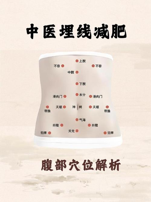 瘦肚子应该针灸哪里