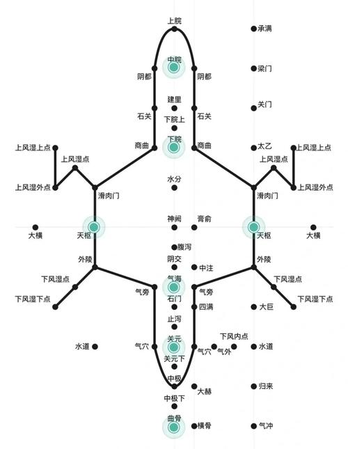 瘦肚子应该针灸哪里