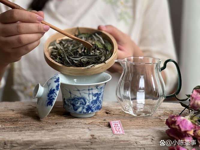 针灸减肥可以喝茶吗