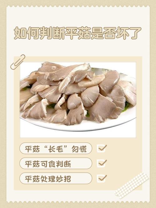 食用菌质量与安全问题