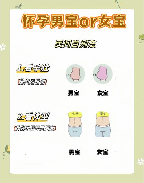 有没有安全期怀男孩的