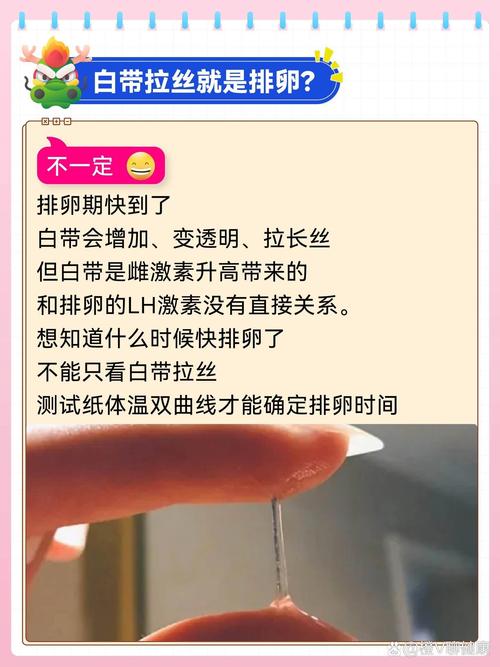 安全期有白带是排卵吗