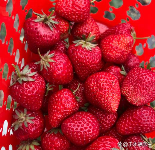 痛风患者可以吃草莓吗