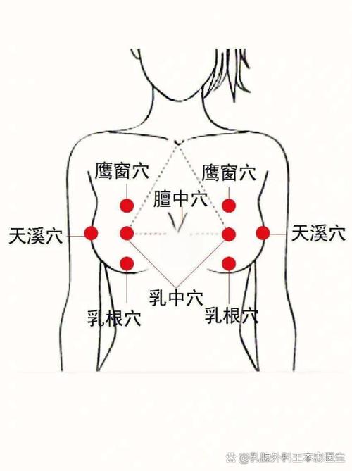 针灸丰胸有哪些穴位