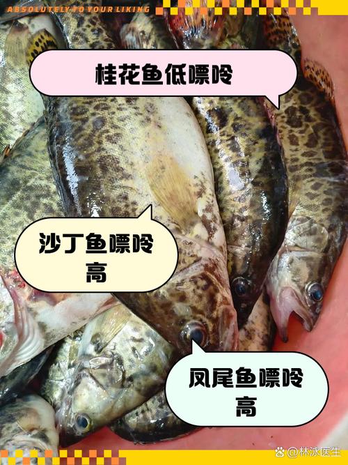 痛风可以吃鲤鱼和鲫鱼