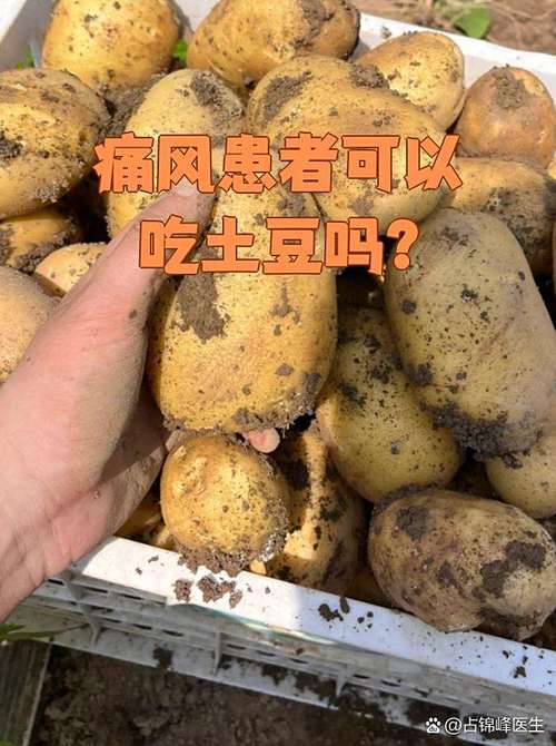 痛风的人可以吃土豆吗