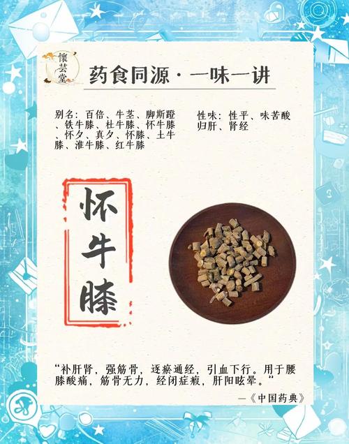 痛风患者可以吃牛鞭吗