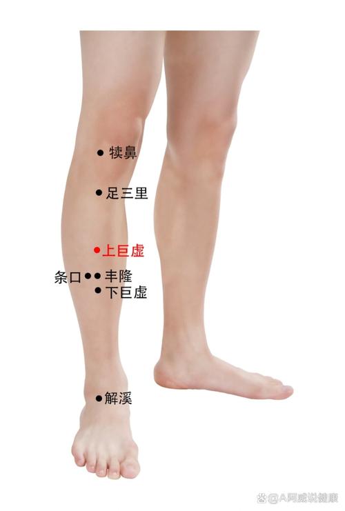 针灸治疗中风的穴位