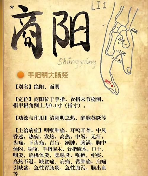 针灸治疗疾病的原理