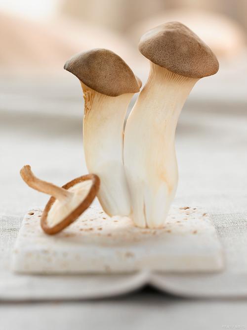 痛风患者能吃杏鲍菇吗